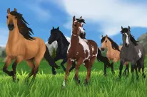 Star Stable